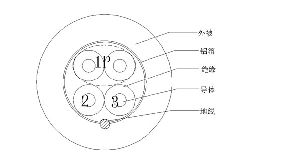 1P+2C+AE()